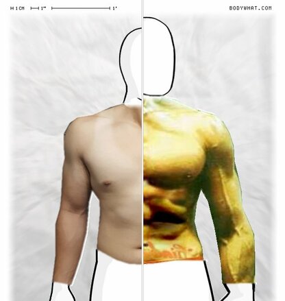 Torso Comparison