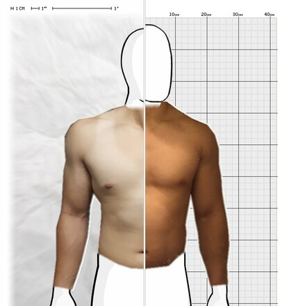 Torso Comparison