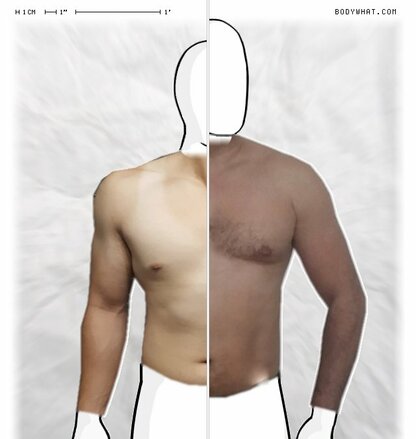 Torso Comparison