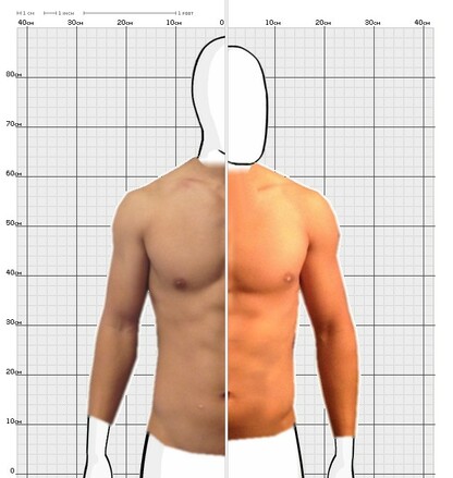 Torso Comparison