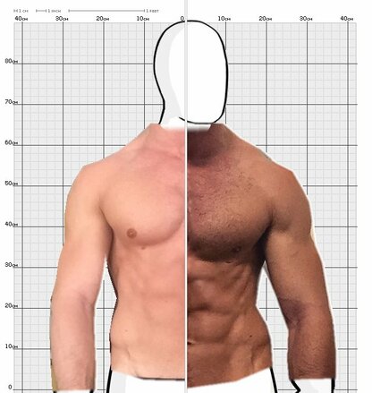 Torso Comparison