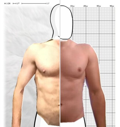 Torso Comparison