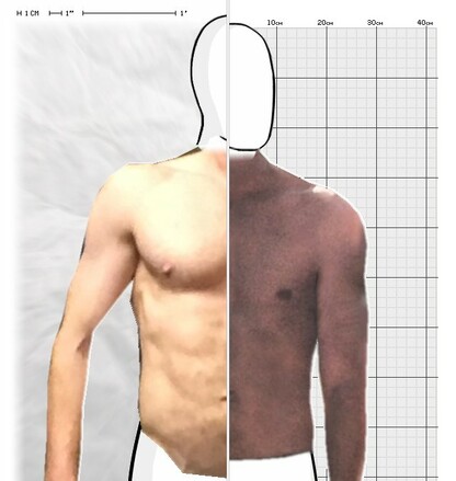 Torso Comparison