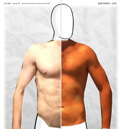Torso Comparison