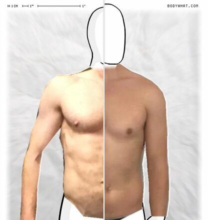 Torso Comparison