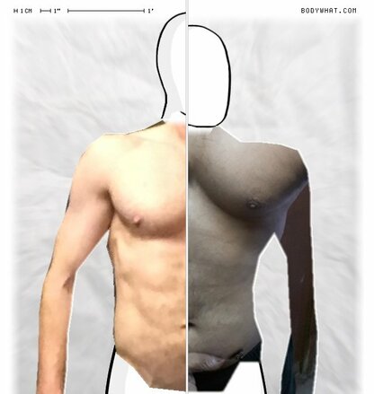 Torso Comparison
