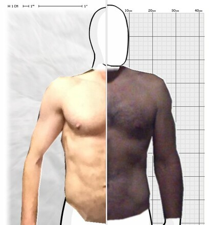 Torso Comparison