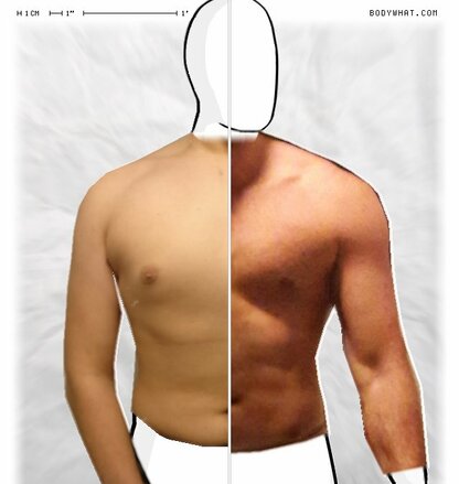 Torso Comparison