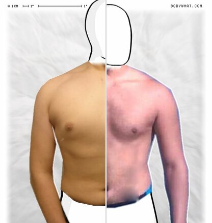 Torso Comparison