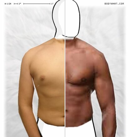 Torso Comparison