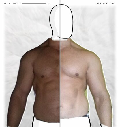 Torso Comparison