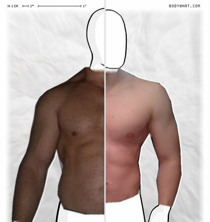 Torso Comparison