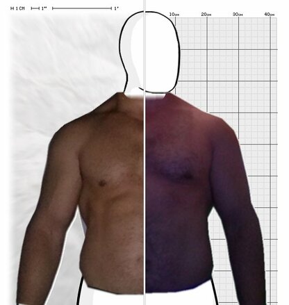 Torso Comparison