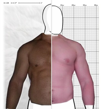 Torso Comparison