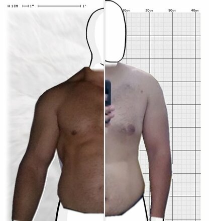 Torso Comparison