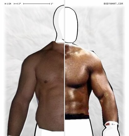 Torso Comparison