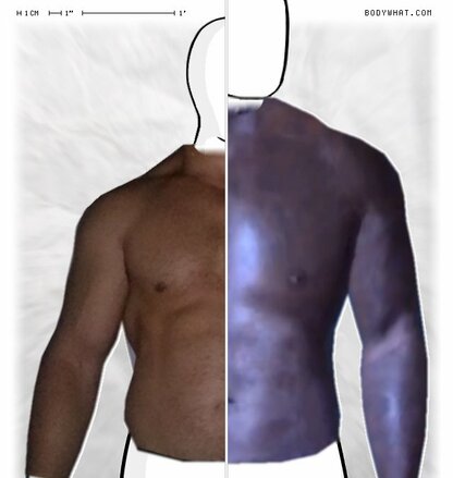 Torso Comparison