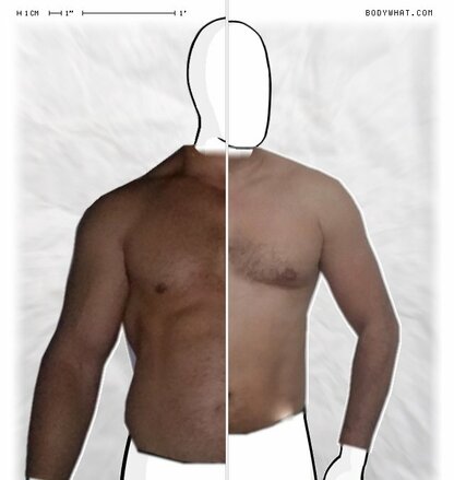 Torso Comparison