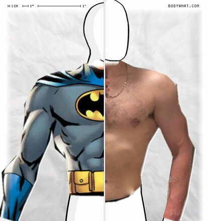 Torso Comparison