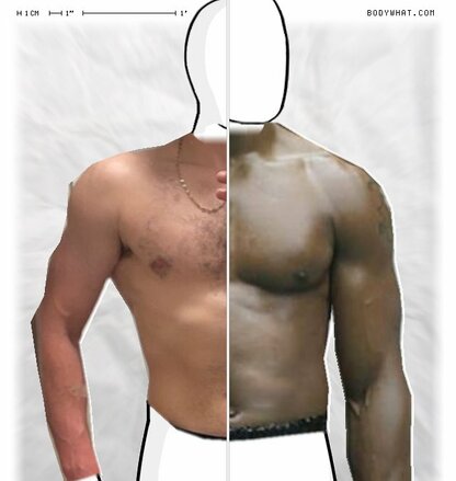 Torso Comparison