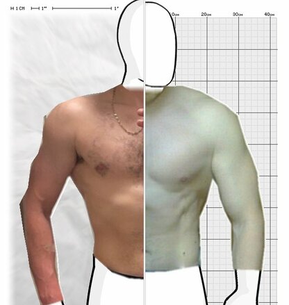 Torso Comparison