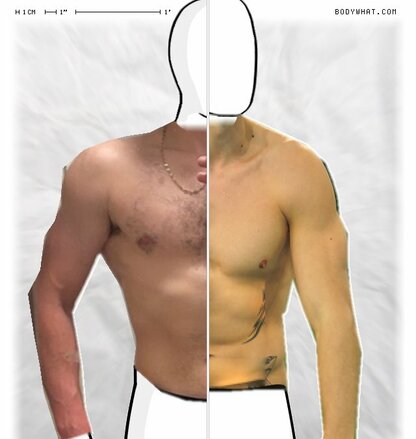 Torso Comparison