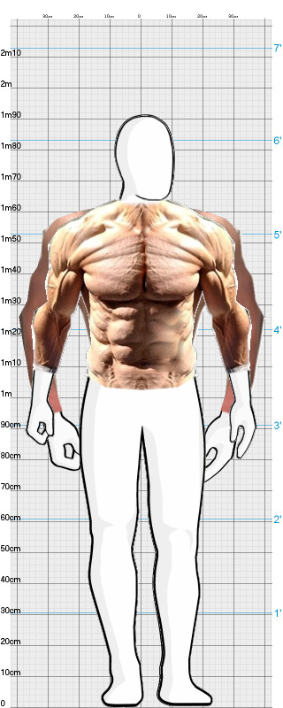 Full Size Comparison