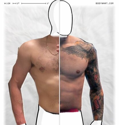 Torso Comparison