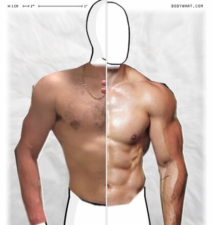 Torso Comparison