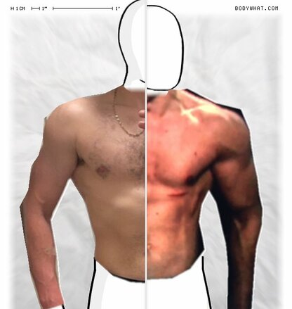 Torso Comparison