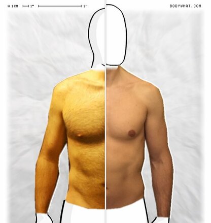 Torso Comparison