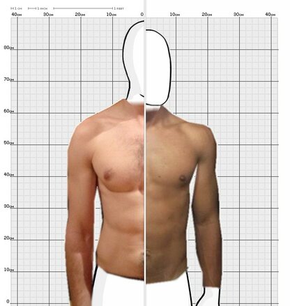 Torso Comparison