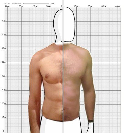 Torso Comparison