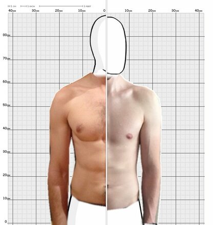 Torso Comparison