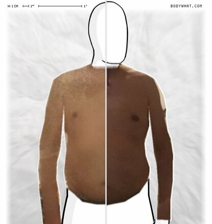 Torso Comparison