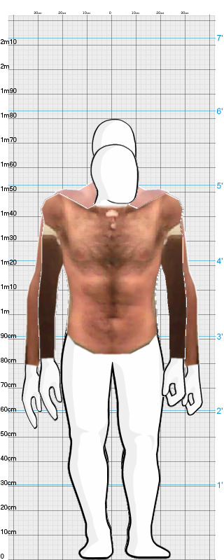 Full Size Comparison