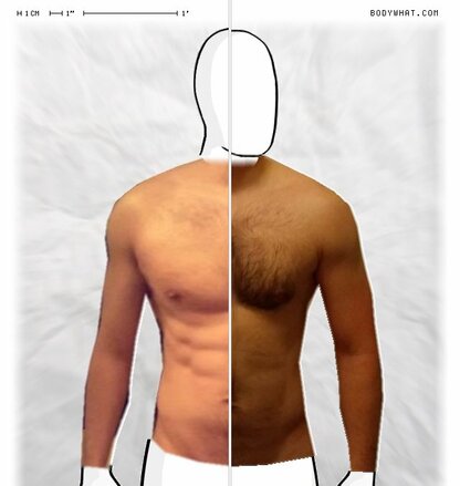 Torso Comparison