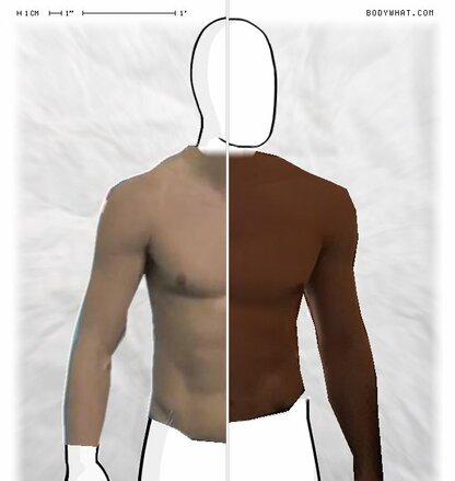 Torso Comparison