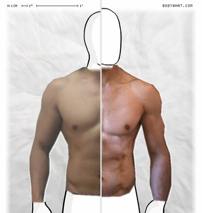 Torso Comparison