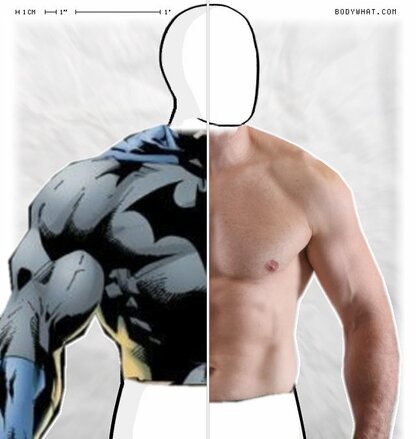 Torso Comparison