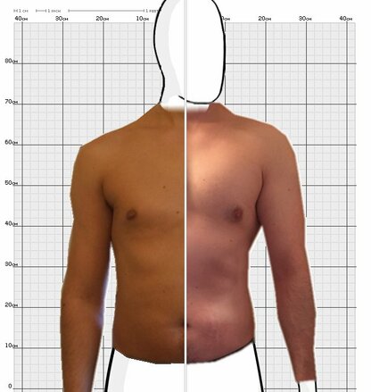 Torso Comparison