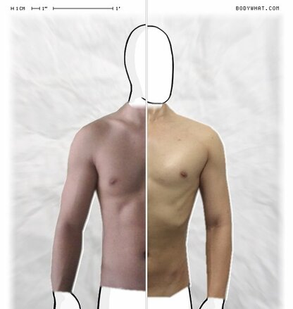 Torso Comparison