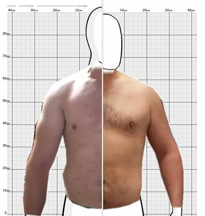 Torso Comparison