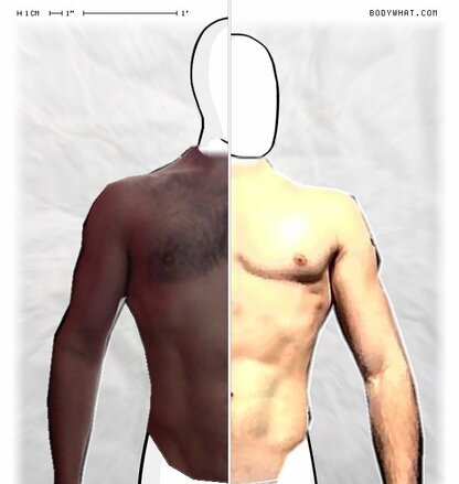 Torso Comparison