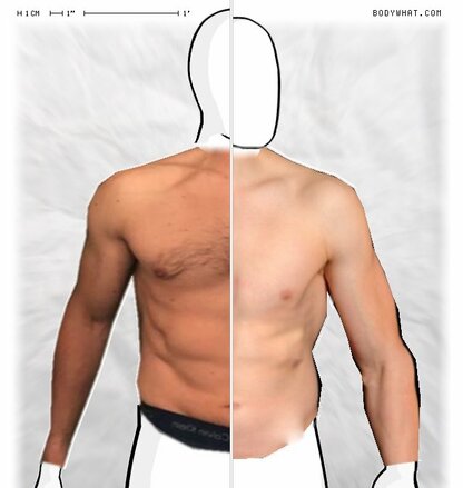 Torso Comparison