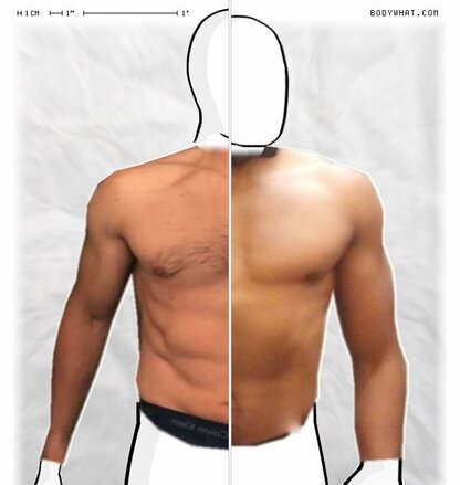 Torso Comparison