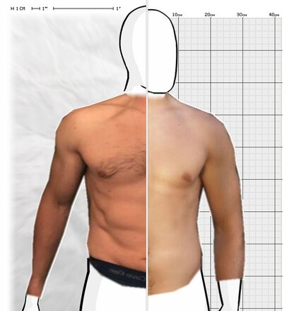 Torso Comparison