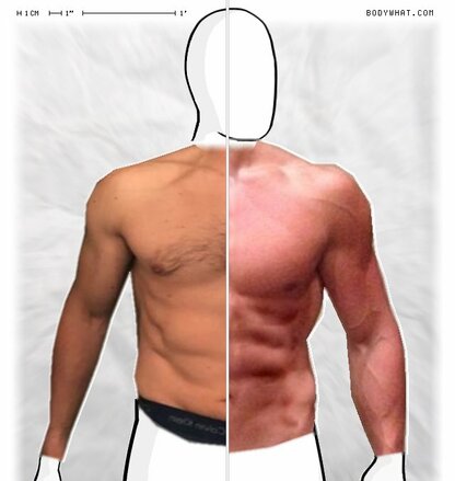 Torso Comparison