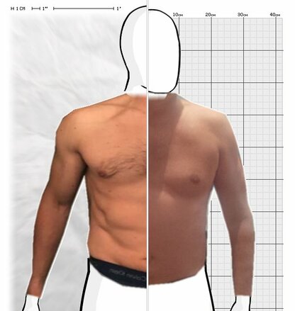 Torso Comparison