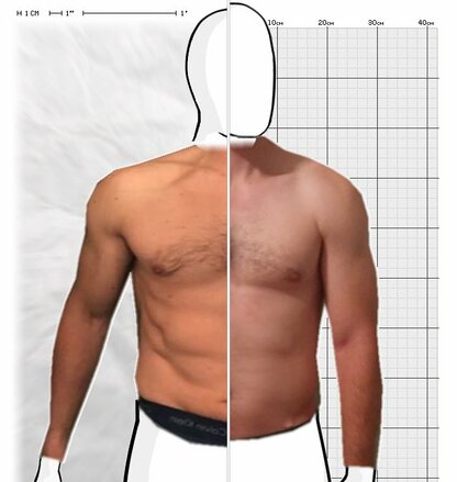 Torso Comparison